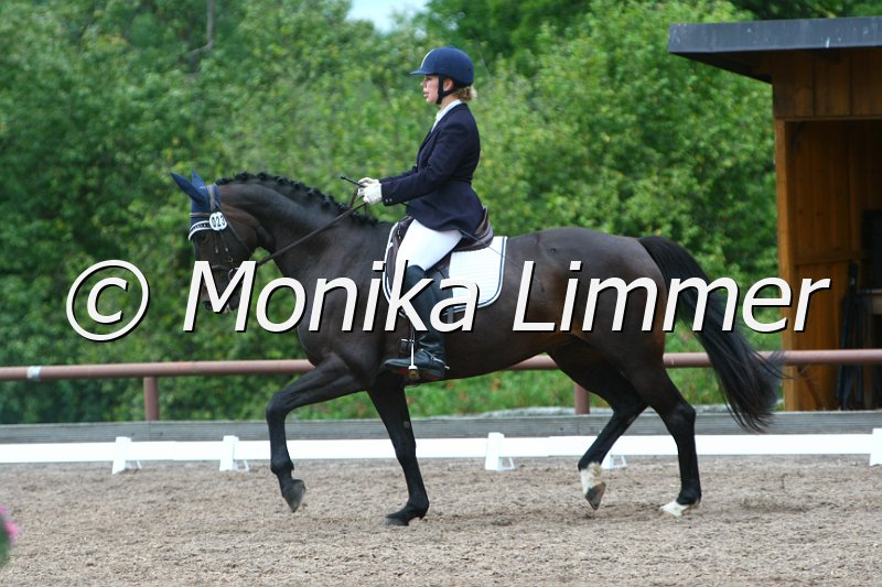 109M2273_Chou Chou_Dressur_A.JPG